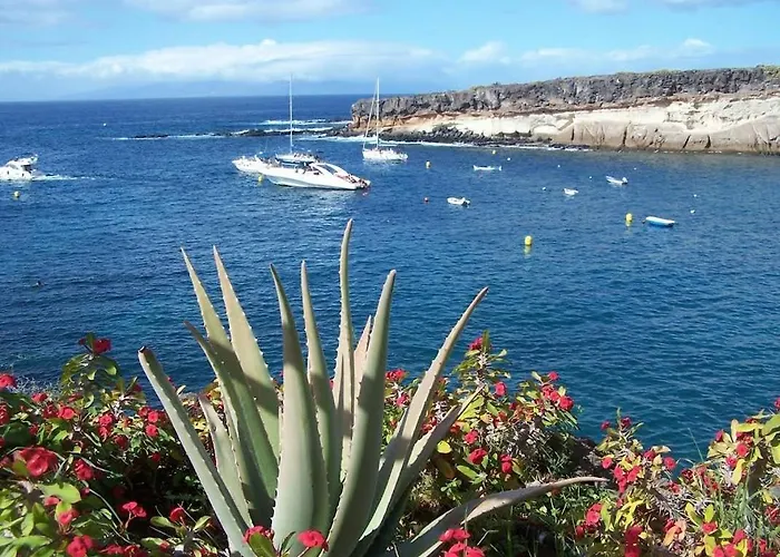 Club Paraiso דירה *